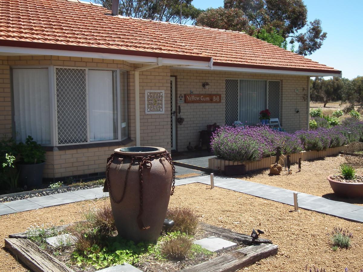 Yellow Gum Bed And Breakfast Katanning Buitenkant foto